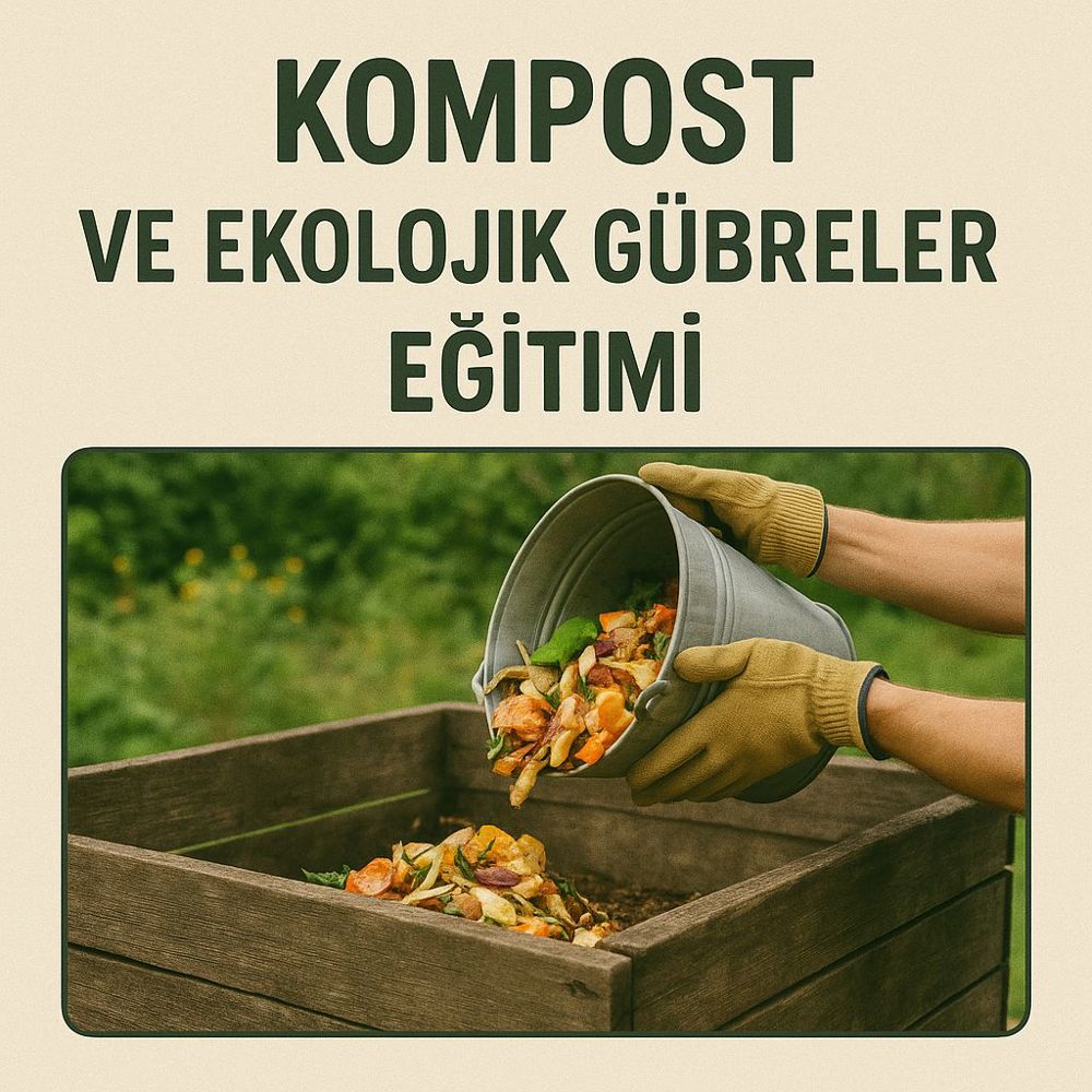 Resim