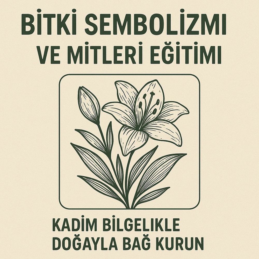 Resim